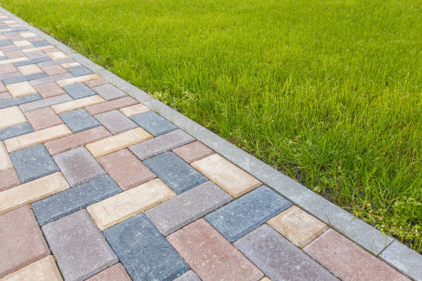 Best Driveway Paving Contractor  in Fort Calhoun, NE